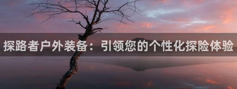 新宝GG苹果版