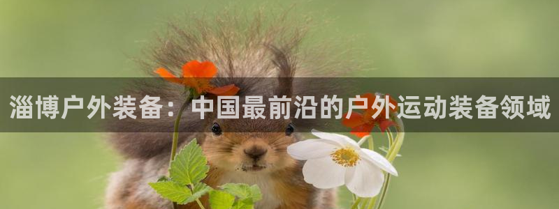 新宝gg游戏平台
