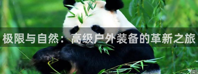 新宝gg找回账号