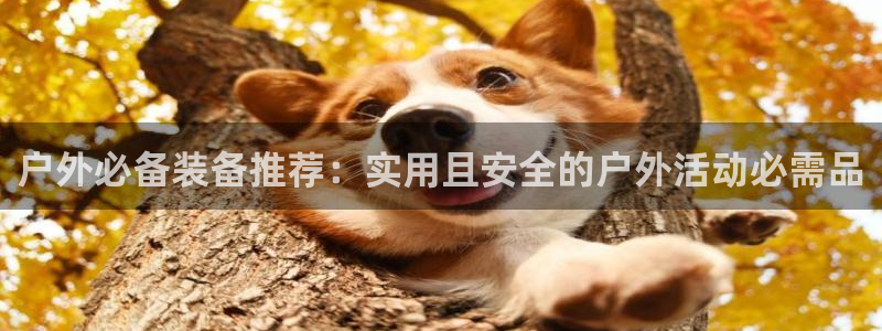 新宝gg在哪开户
