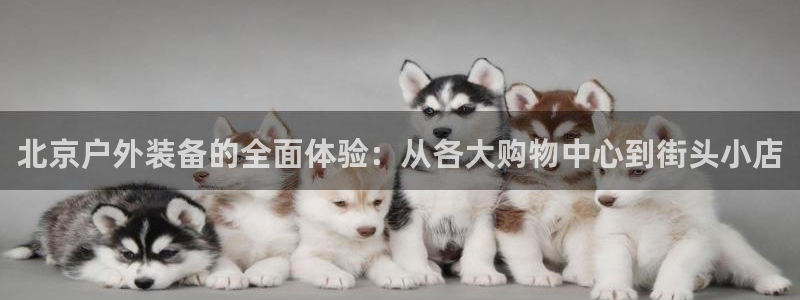 新宝平台gg