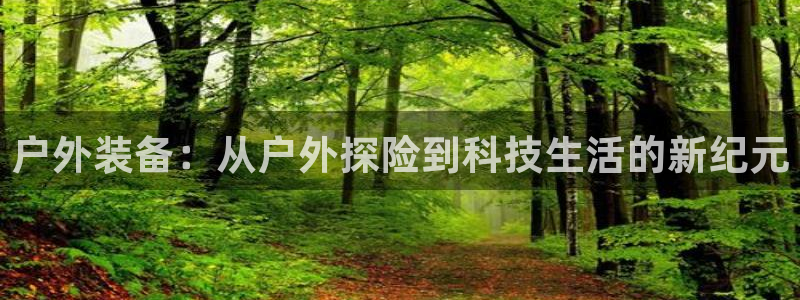 关于新宝GG