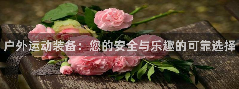 新宝gg首页