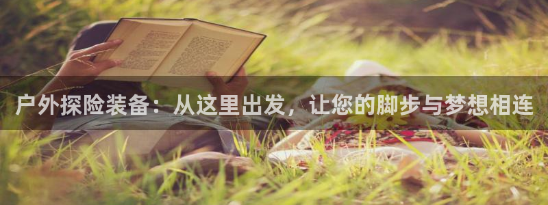 新宝gg入口网址