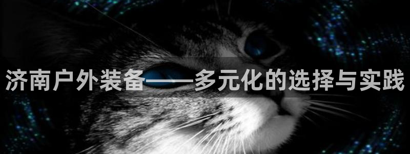 新宝gg打发