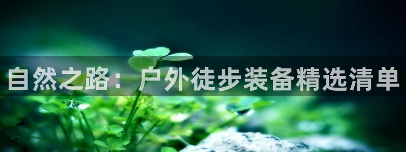 新宝gg   创造