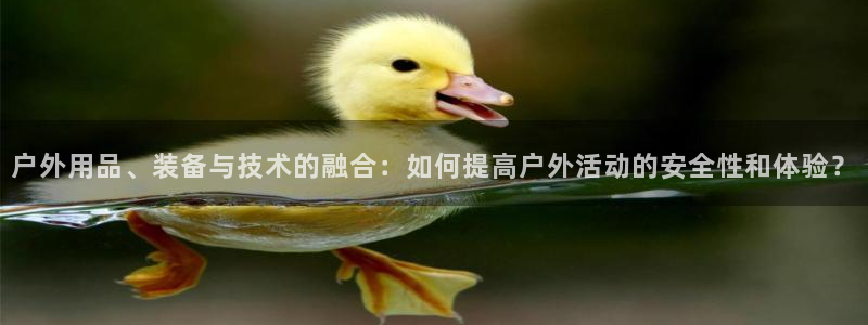 新宝gg开奖
