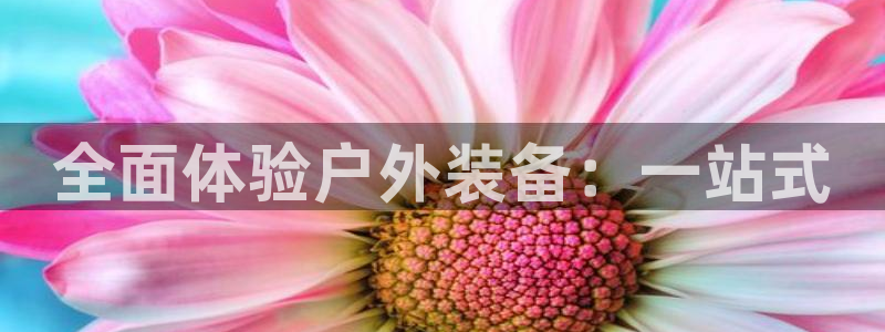 新宝时gg