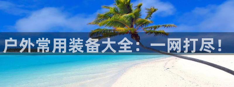 新宝gg 黑