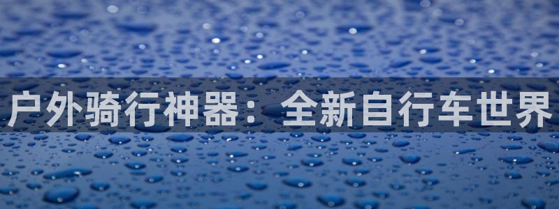 新宝GG国际