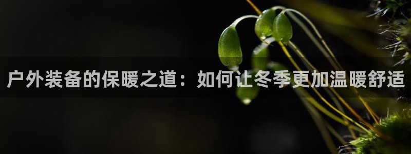 新宝gg推荐