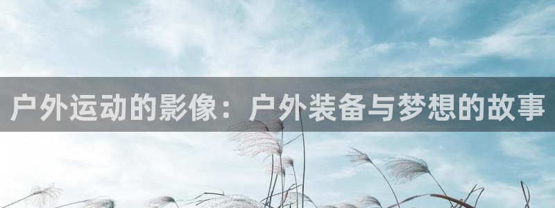 新宝gg网站