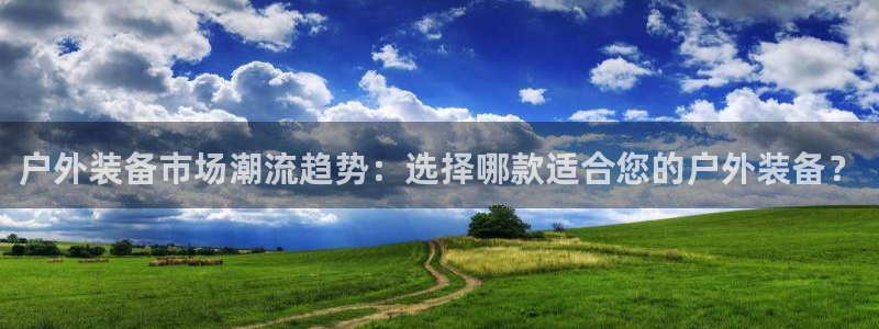 网站是新宝gg