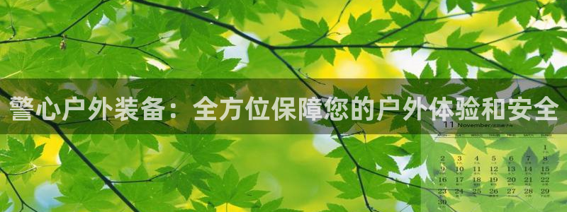 新宝gg专线