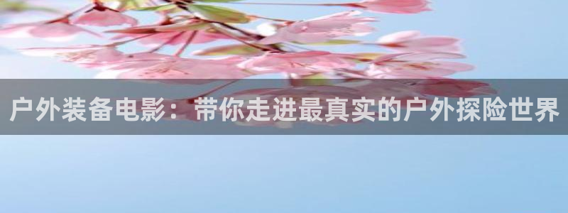 新宝gg龙腾