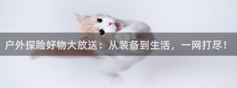 新宝GG 黑钱