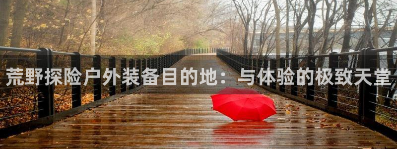 新宝gg账号