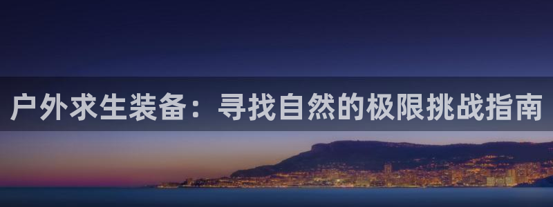新宝gg网