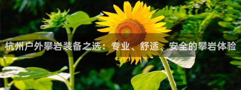 新宝gg平台反水