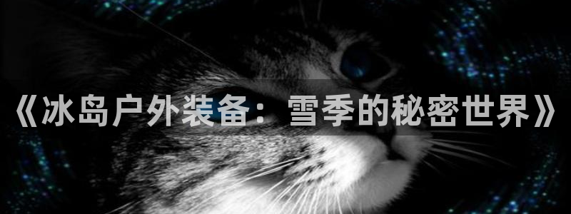 新宝 gg 登