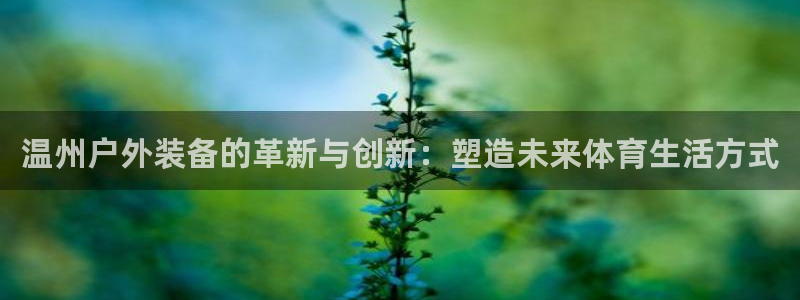 新宝gg 创造