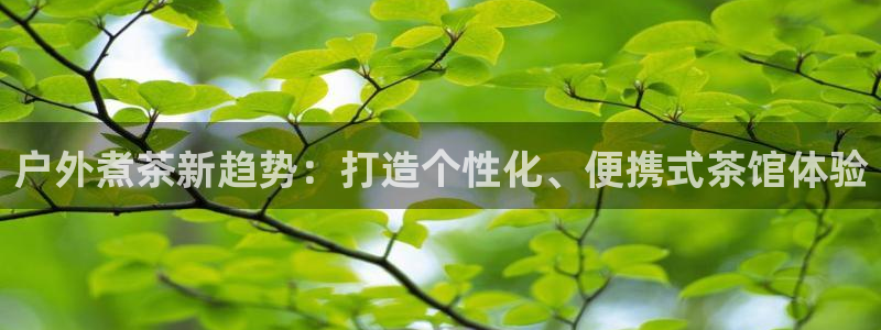 网站新宝GG