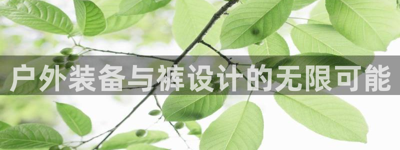 新宝g新宝gg