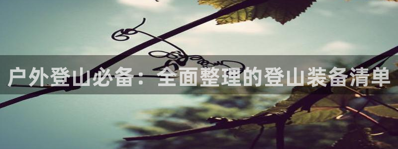 新宝 gg