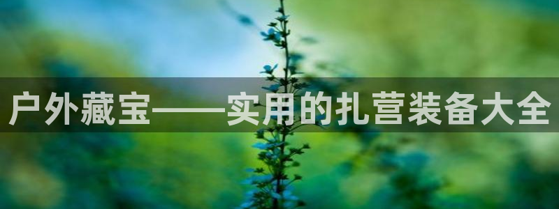 新宝gg开户