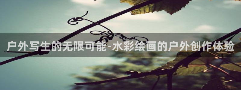 关于新宝GG