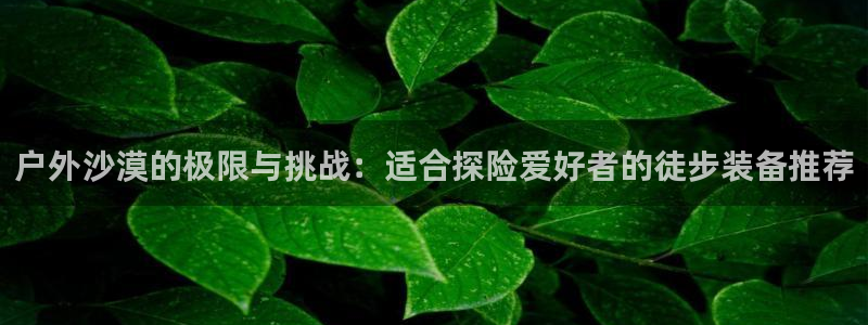 新宝 gg 总代理