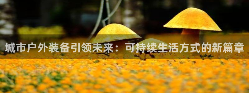 新宝gg 创