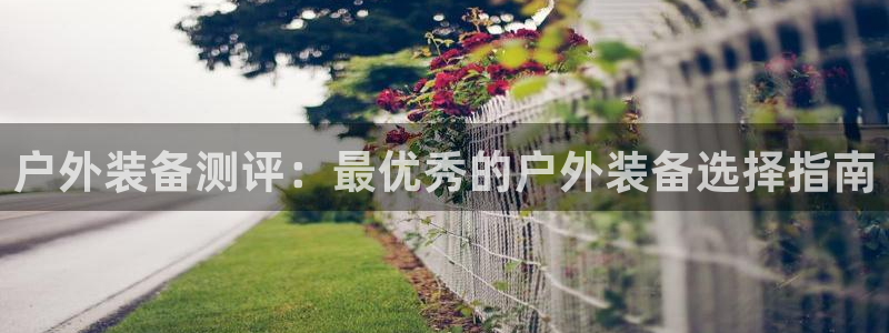 新宝gg为什么没人管