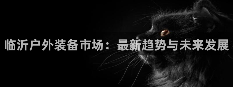 新宝gg登陆