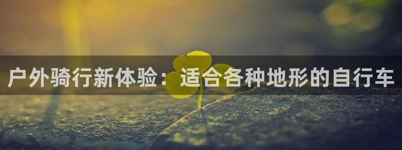 新宝奇迹GG