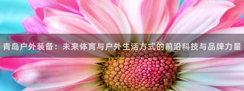 新宝gg官网