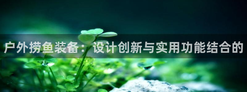 x新宝gg