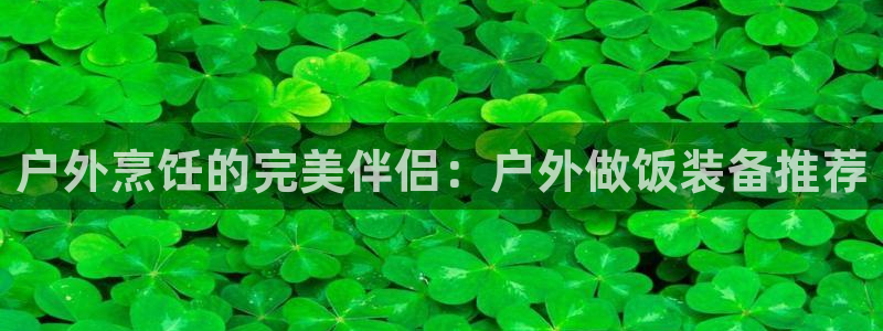 怎么代理新宝gg