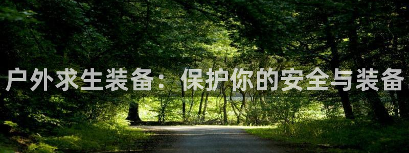 新宝gg注