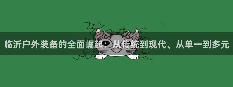新宝 gg 下载