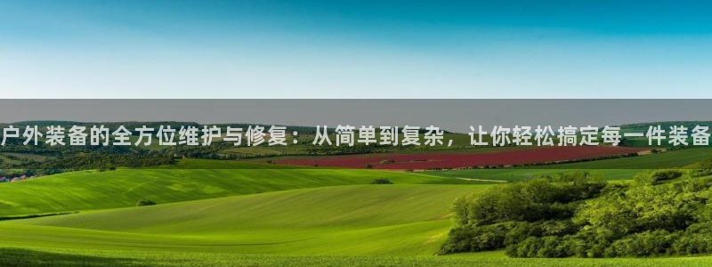 新宝GG玩家