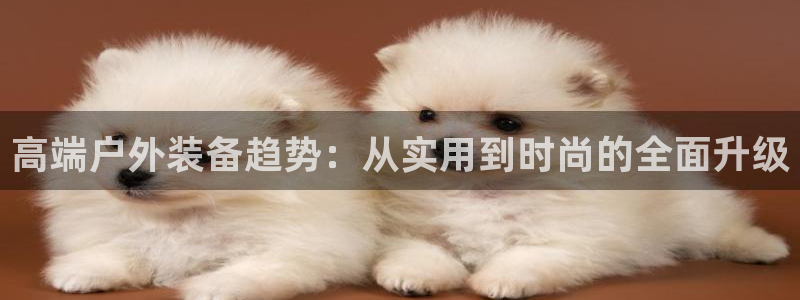 新宝gg 网址