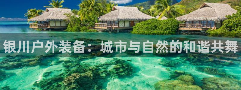 广东新宝电器gg