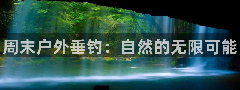 新宝GG最高返点多少