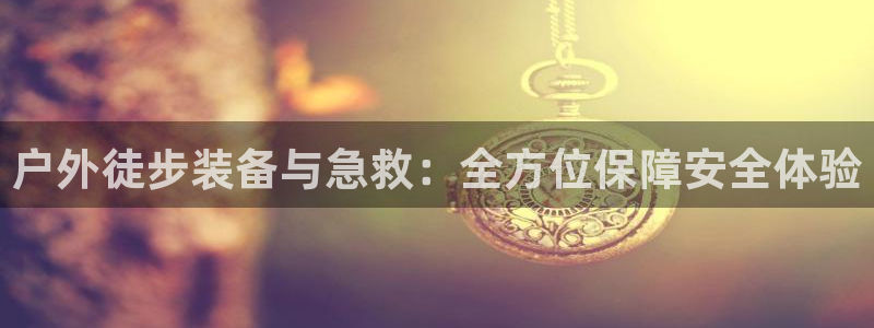 新宝gg主