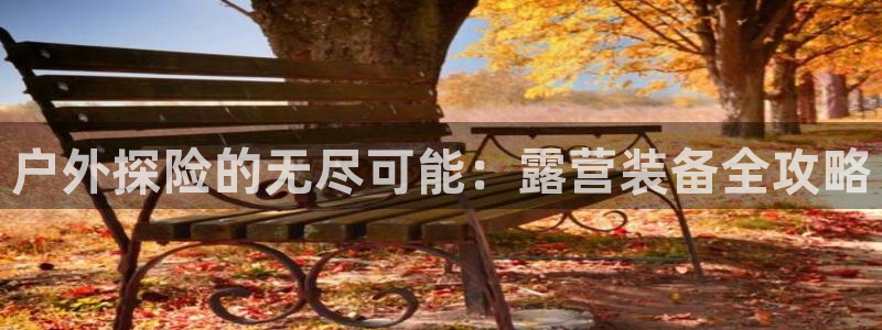新宝gg平台反水
