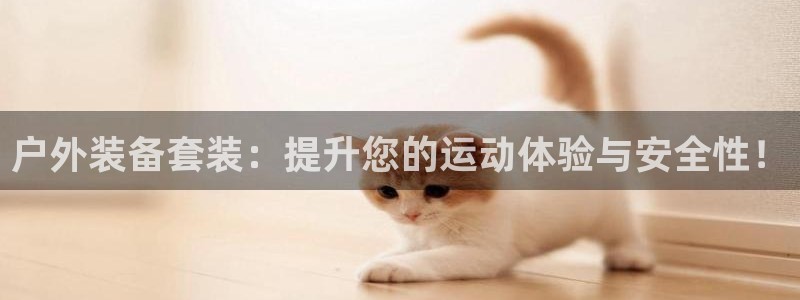 新宝gg—创造