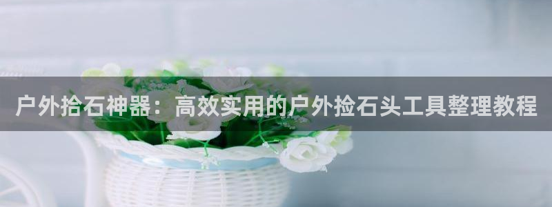 新宝gg网娱乐