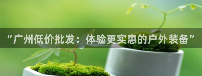 新宝gg主管花木兰