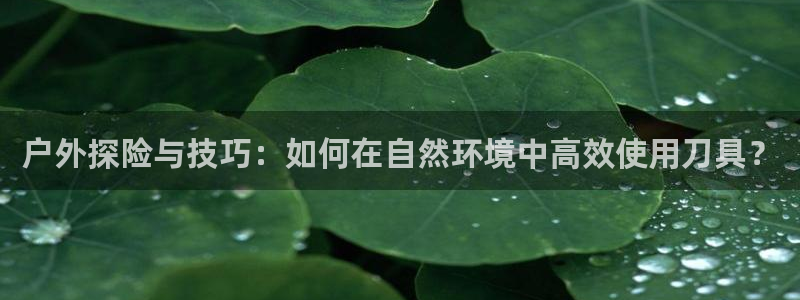 新宝gg在哪开户